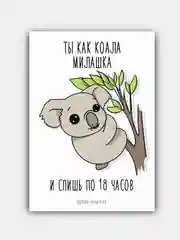 Открытка "Коала"