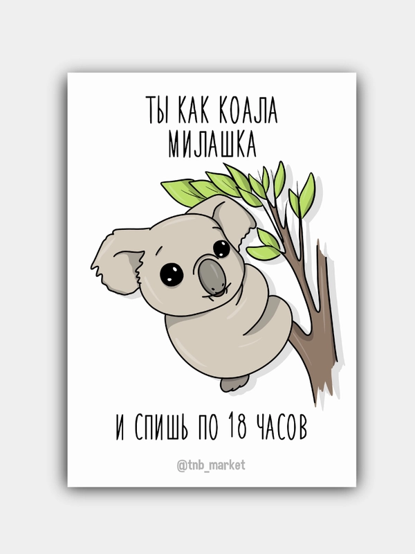 Открытка "Коала"