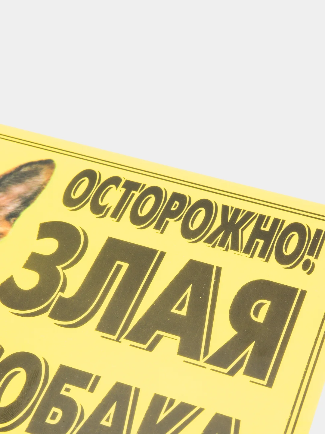 Табличка ламинированная "Осторожно! Злая собака"
