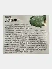 Семена Тыква "Лечебная"