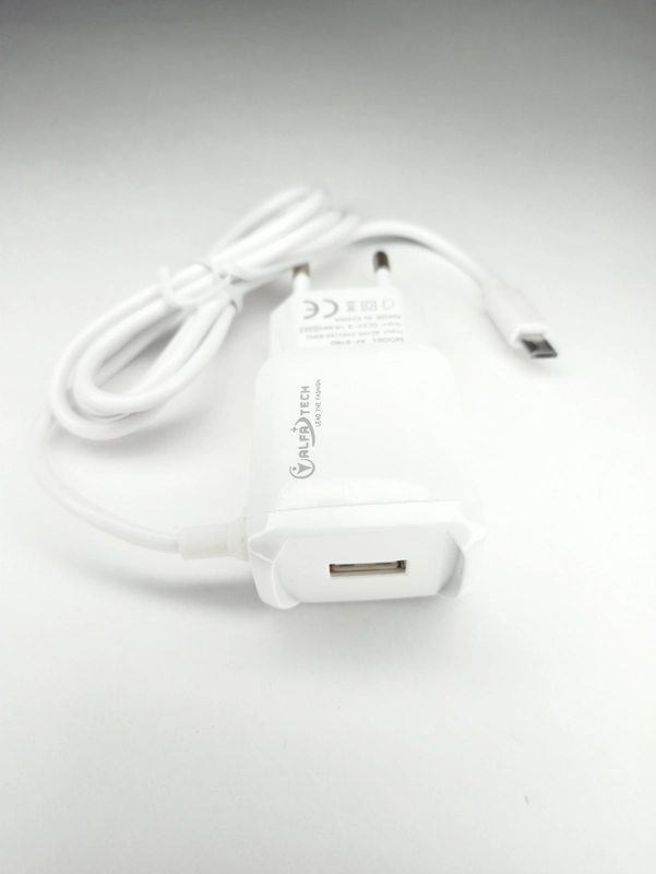 Сетевое зарядное устройство с кабелем Micro USB