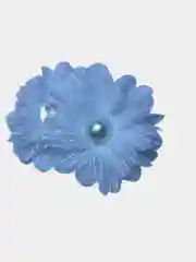 Детские разинки