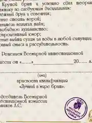 Сувенирный подарочный "Диплом лучшего в мире брата", (ламинированный)