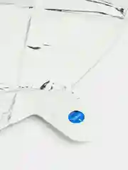 Шар цифра "5"