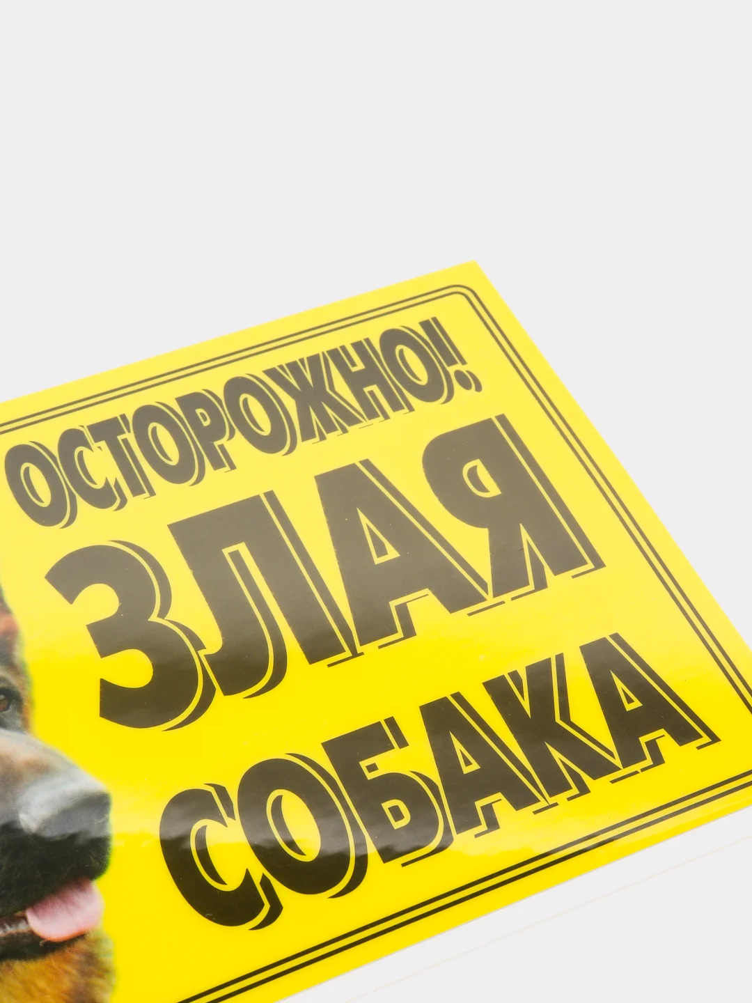 Табличка ламинированная "Осторожно! Злая собака"