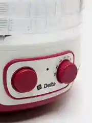 Сушилка для овощей и фруктов DELTA DL-6890 электрическая