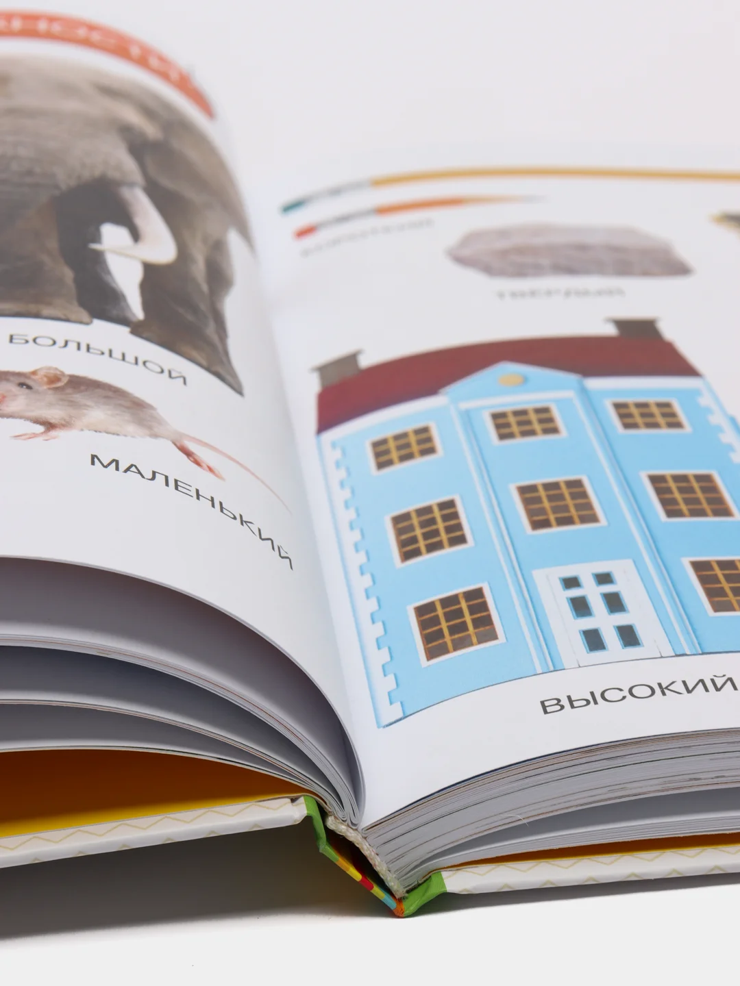 Энциклопедия малыша "Моя первая книга"