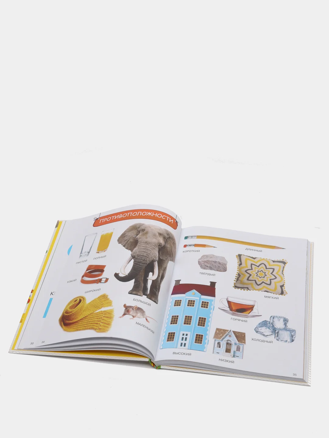 Энциклопедия малыша "Моя первая книга"