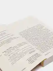 Искра жизни, Ремарк Э.М.