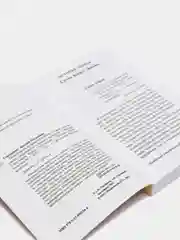 Понедельник начинается в субботу, Аркадий и Борис Стругацкие