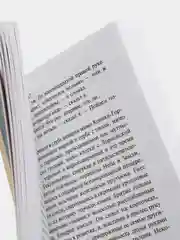 Понедельник начинается в субботу, Аркадий и Борис Стругацкие