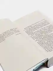 Клатбище домашних жывотных