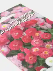 Маргаритка Ягодный десерт (семена,цветы)