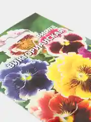 Виола Викторианская смесь (семена,цветы)