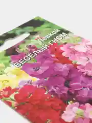 Левкой Веселый гном (семена,цветы)
