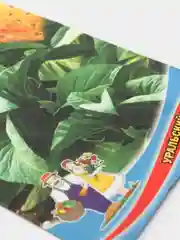 Табак Восточный (семена)