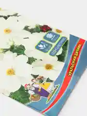 Космея Снежная сенсация (семена,цветы)
