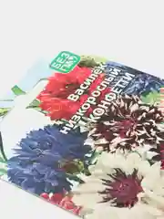 Василек Конфетти (семена,цветы)