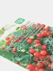 Томат Балконное чудо (семена)