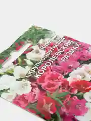 Годеция Королевский размах (семена,цветы)
