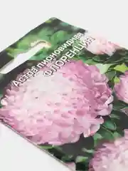 Астра Флоренция (семена,цветы)