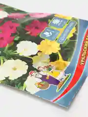 Мирабилис Ночная красавица (семена,цветы)