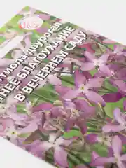 Маттиола Летнее благоухание в вечернем саду (семена,цветы)