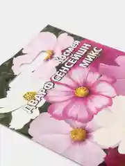 Космея Дварф сенсейшн (семена,цветы)