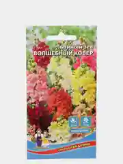 Львиный зев Волшебный ковер (семена,цветы)
