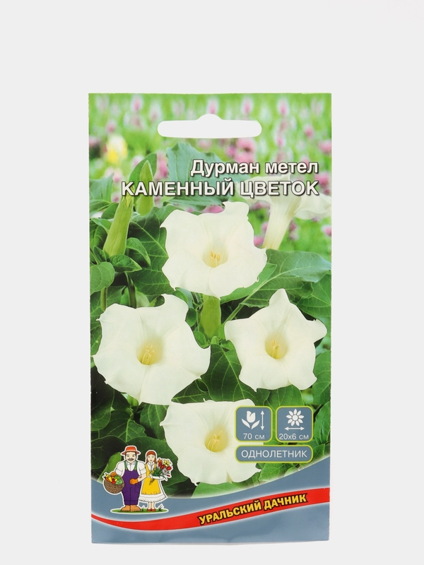 Дурман Каменный цветок (семена,цветы) купить по цене 69 ₽ в интернет ...