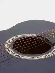 Акустическая гитара Cowboy 3810C VTS