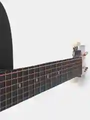 Акустическая гитара Cowboy 3810C VTS