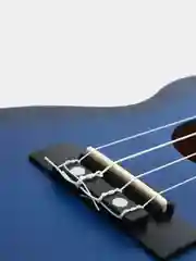 Укулеле концерт Tutti JR-13 BLB