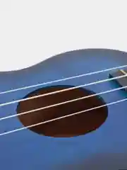 Укулеле концерт Tutti JR-13 BLB