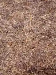 Стельки войлочные натуральные для обуви, теплые зимние. 100% войлок. Маломерки