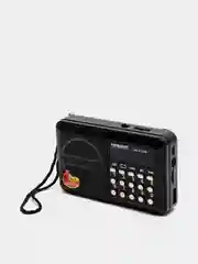 РАДИО  ГОРИЗОНТ  ЦИФРОВОЙ ПРИЕМНИК  (AM/FM, USB, SD) АККУМУЛЯТОР