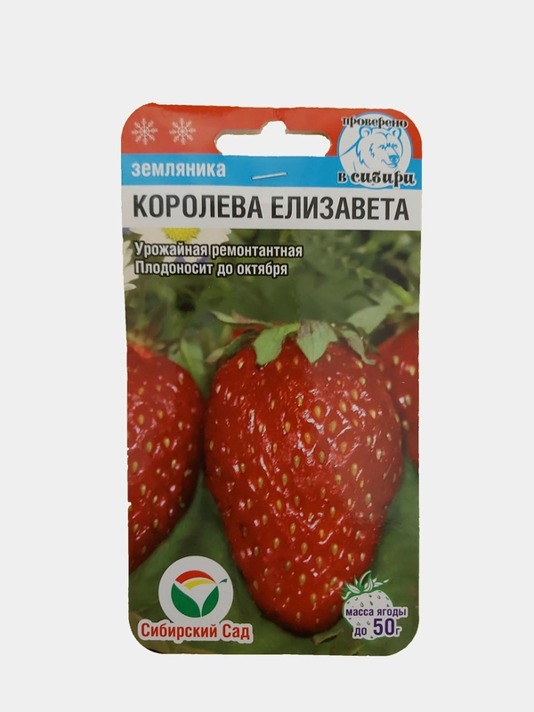 Земляника крупноплодная "Королева Елизавета" (семена)