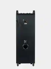 Bluetooth-колонка с подсветкой Dialog AO-220 Oscar, 100 Вт, (BT/USB/SD/AUX/FM)