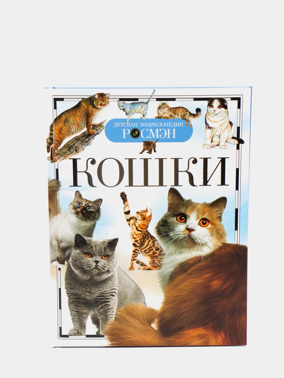 Детская энциклопедия "Кошки"
