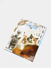 Детская энциклопедия "Кошки"