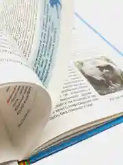 Детская энциклопедия "Кошки"