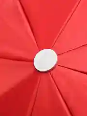 Красный зонт однотонный / Зонт двусторонний / Цвета внутри