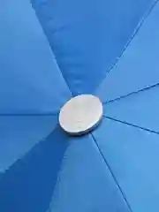 Синий зонт однотонный / Зонт двусторонний / Цвета внутри
