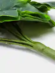 Искусственный Плющ ампельный