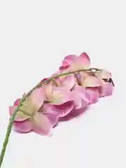 Искусственная Орхидея Фаленопсис фуксия
