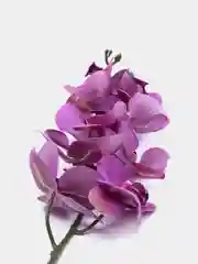 Искусственная Орхидея Фаленопсис фиолетовая