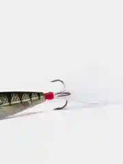 Серебряный бокоплав