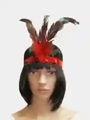 Красный перо на голову