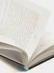 Слова, которые нам не говорили родители