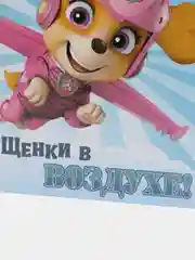 Первое чтение. Щенячий патруль. Щенки в воздухе